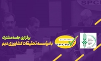 برگزاری جلسه مشترک با موسسه تحقیقات دیم کشور